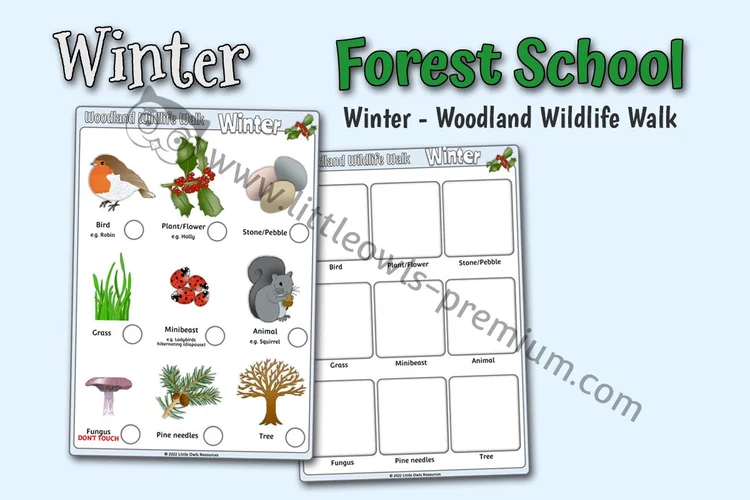 Woodland Wildlife Walk — Winter — resource cover