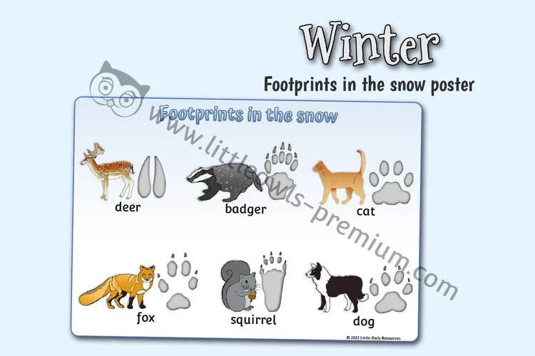 Animal Footprints in the Snow Poster — resource cover