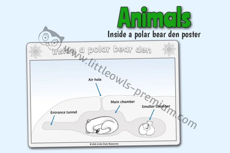 Inside a Polar Bear Den Poster — resource cover