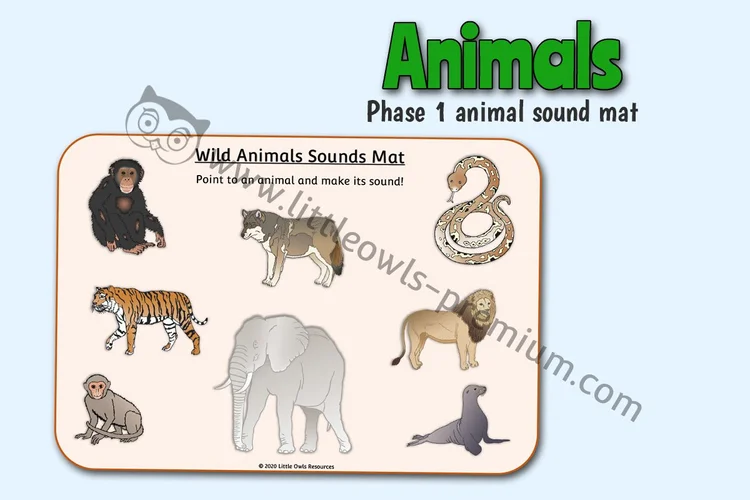 Wild Animal Sounds Mat cover