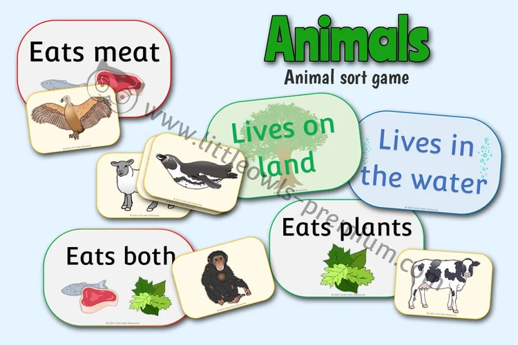 Animal Sorting Cards & Labels cover