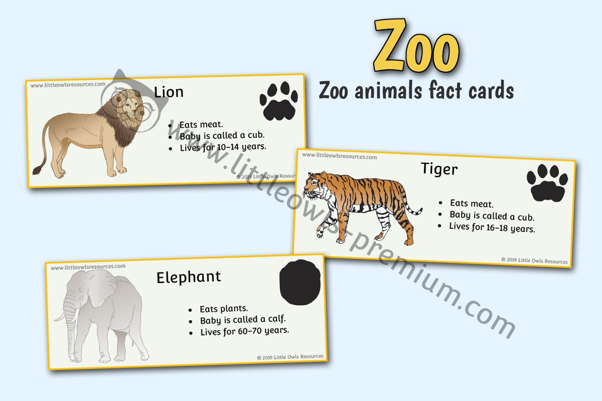 ZOO ANIMAL FACT CARDS