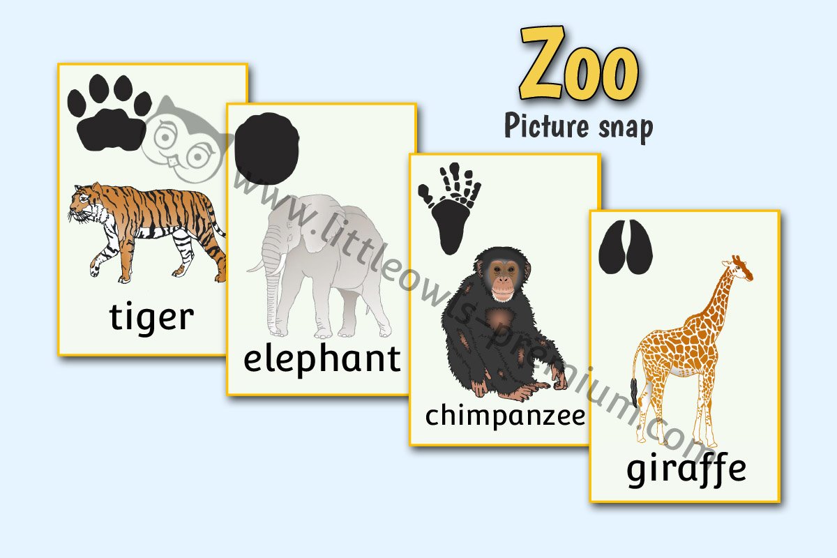 ZOO ANIMAL SNAP CARDS