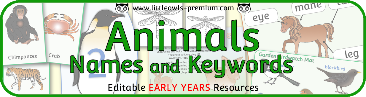 Animals of the World' Early Years (EYFS) Editable printable resources  activities. — Little Owls : Premium - 'A Little Owls Resources' website
