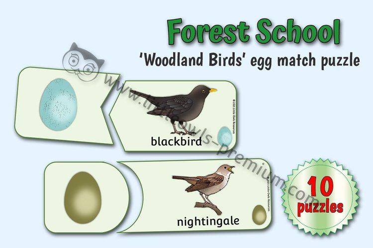 Woodland Birds — Egg Matching Puzzles — resource cover