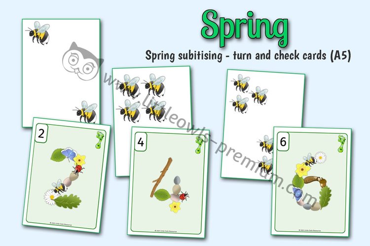 Spring — Subitising Turn & Check Cards, A5 cover