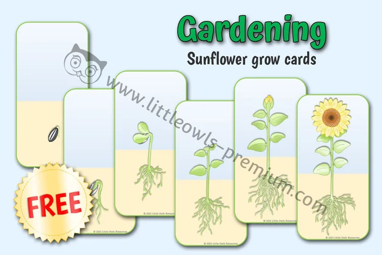 Sunflower Growth Ordering Cards — Free Sample — Free Access resource cover