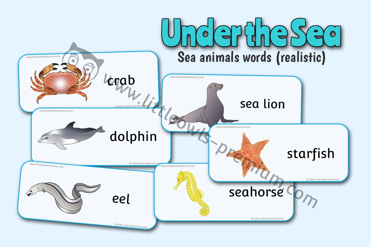 SEA ANIMAL WORD CARDS (REALISTIC STYLE)