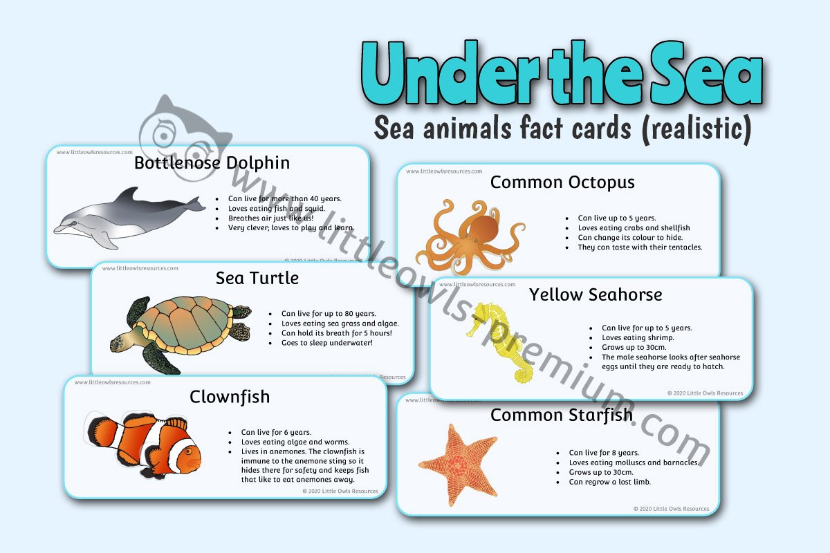 SEA ANIMAL FACT CARDS (REALISTIC STYLE)