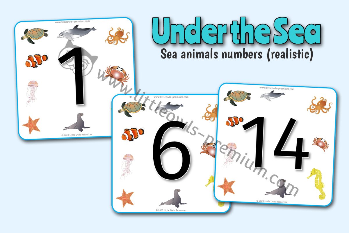 SEA ANIMAL NUMBERS 0-30 (REALISTIC STYLE) 