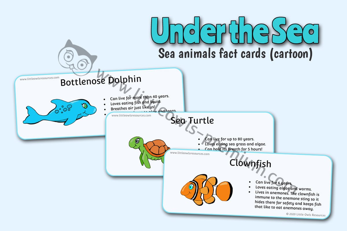 SEA ANIMAL FACT CARDS (CARTOON STYLE)