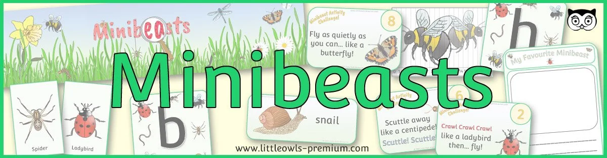 Minibeasts.jpg