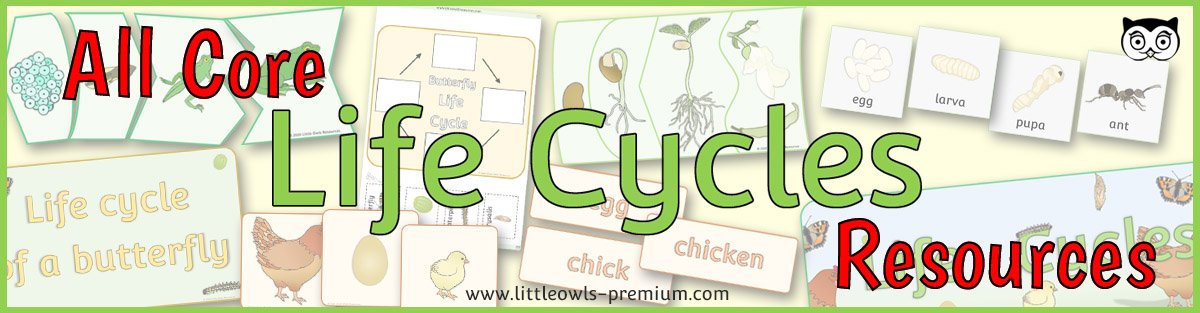  VIEW ALL CORE 'LIFE CYCLE' RESOURCES  