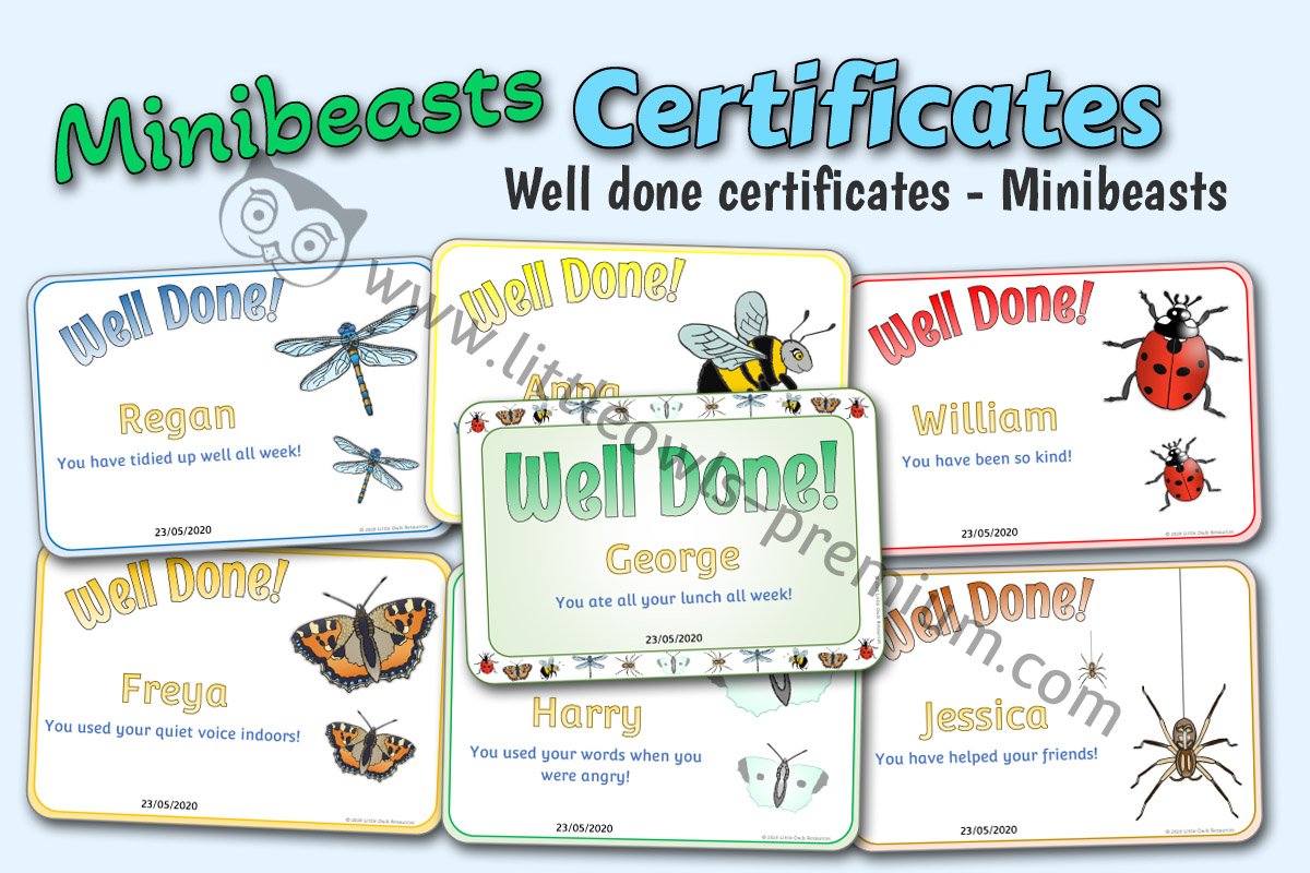 MINIBEAST THEMED 'WELL DONE!' CERTIFICATES