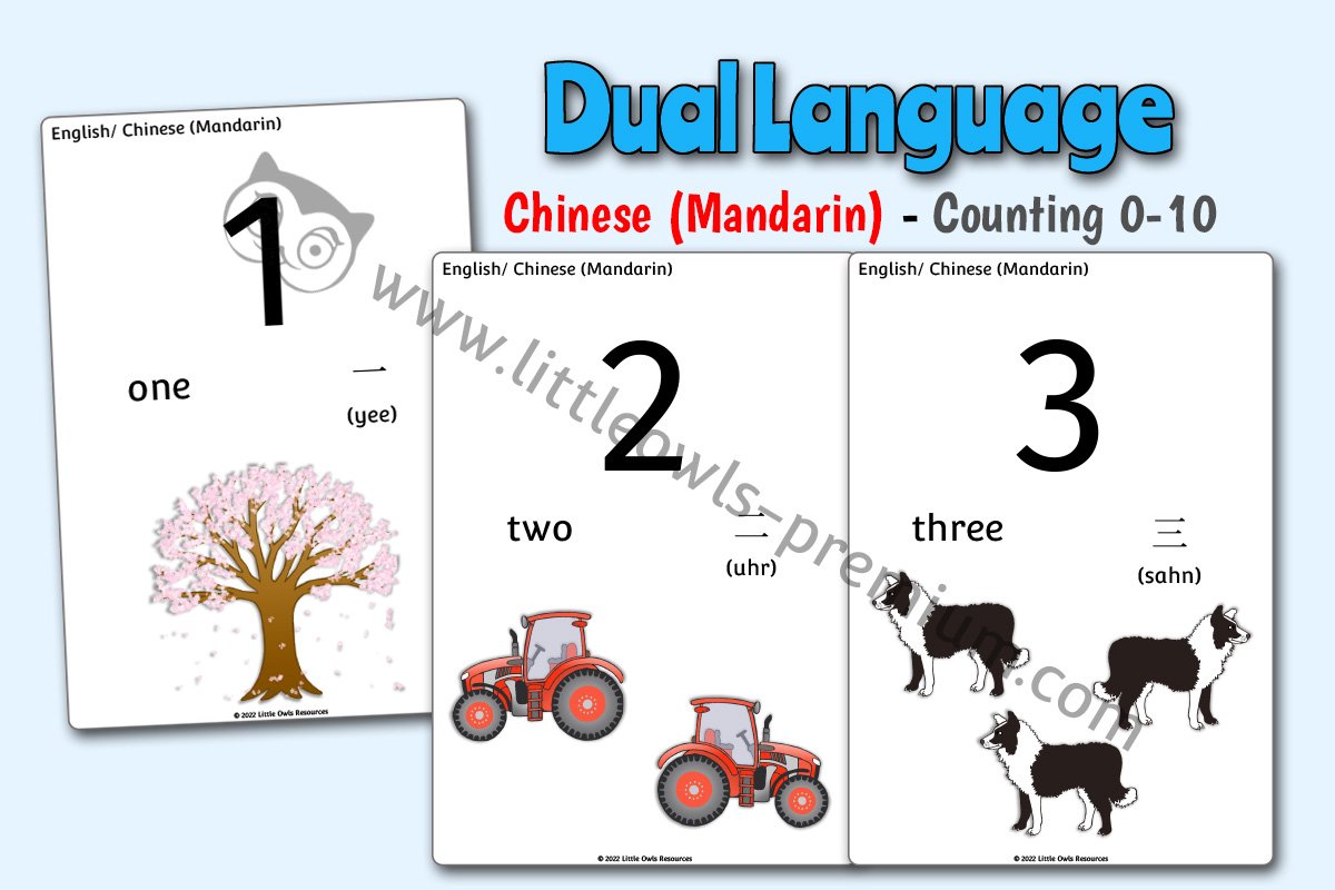 CHINESE MANDARIN COUNTING (0-10)