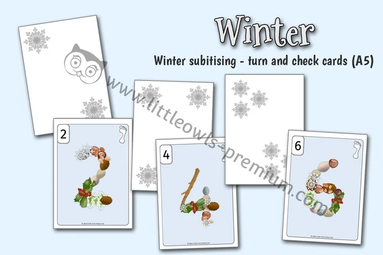 Winter — Subitising Turn & Check Cards, A5 cover