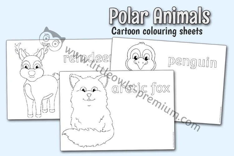 Polar Animals Cartoon Colouring Sheets — resource cover