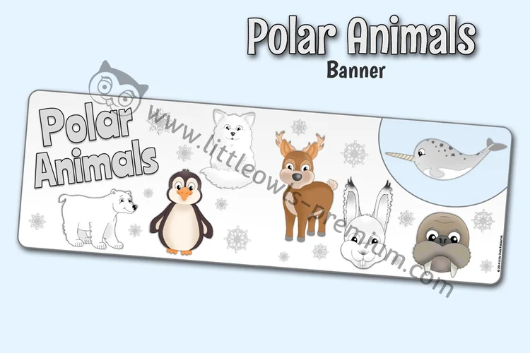 Polar Animals Display Banner — resource cover