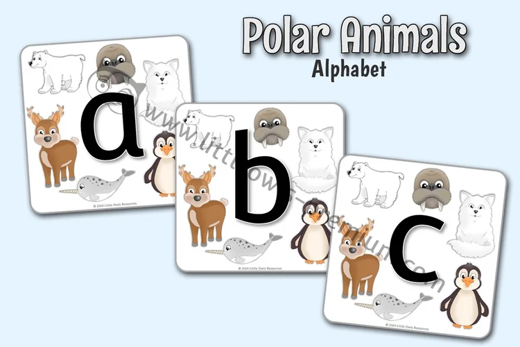 Polar Animal Alphabet Cards — resource cover