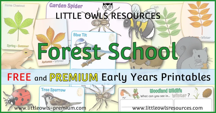 Forest School — resource cover