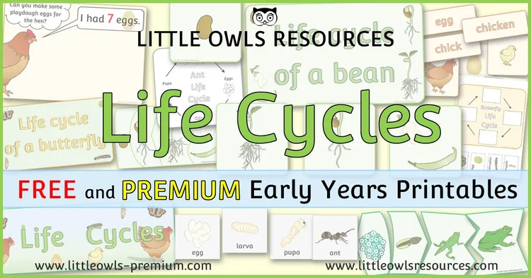 Life Cycles — resource cover