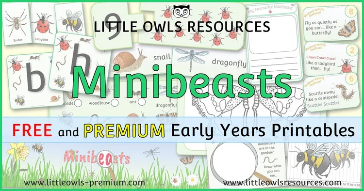 Minibeasts — resource cover