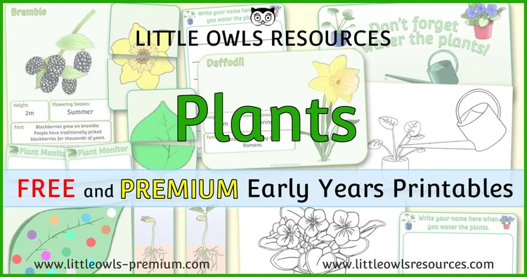 Plants — resource cover