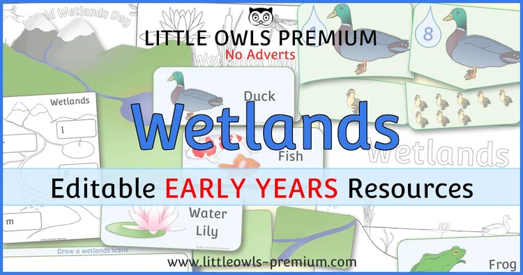 Wetlands — collection cover