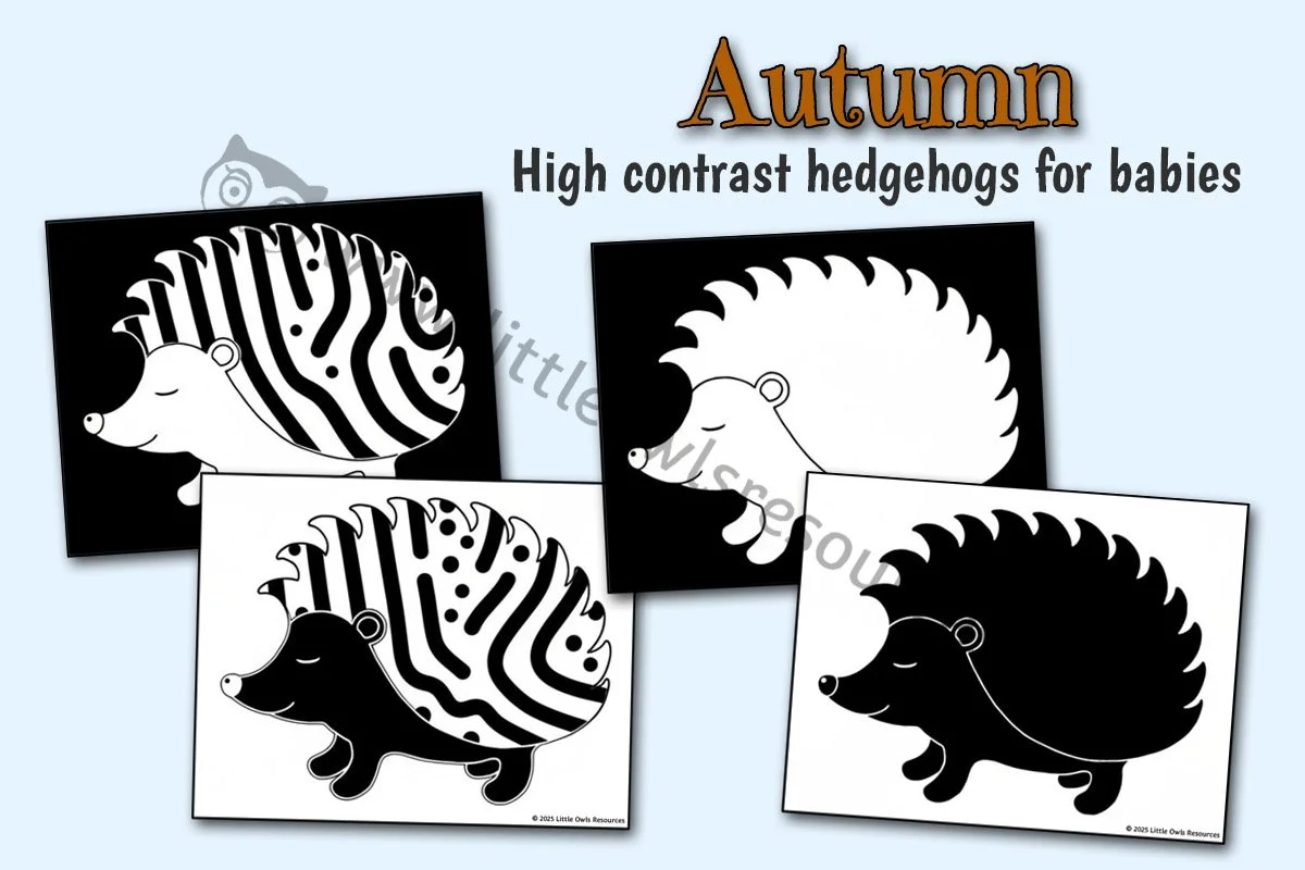 High Contrast Hedgehog Images for Babies | Autumn