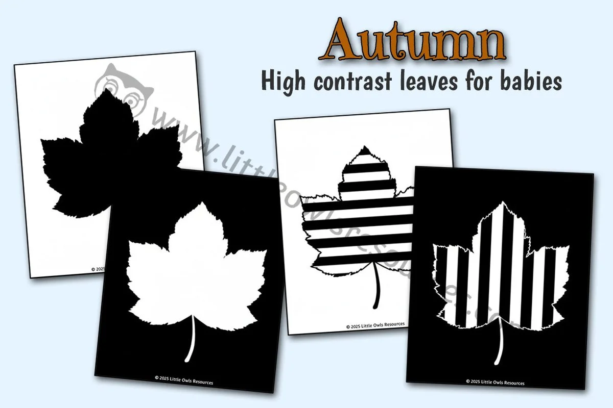 High Contrast Leaf Images for Babies | Autumn