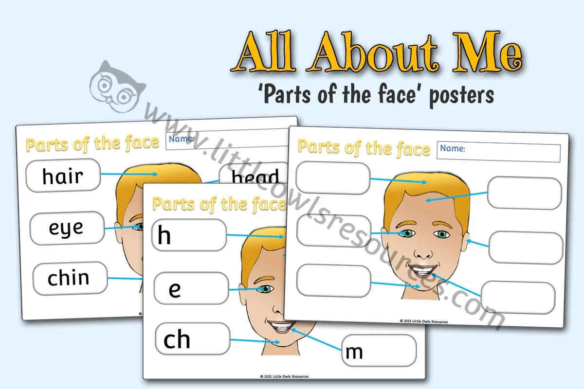 PARTS OF THE FACE SHEETS