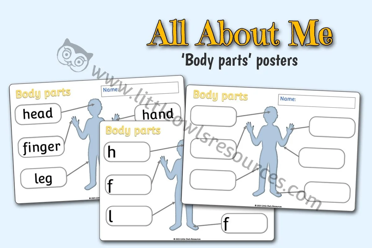 BODY PART SHEETS