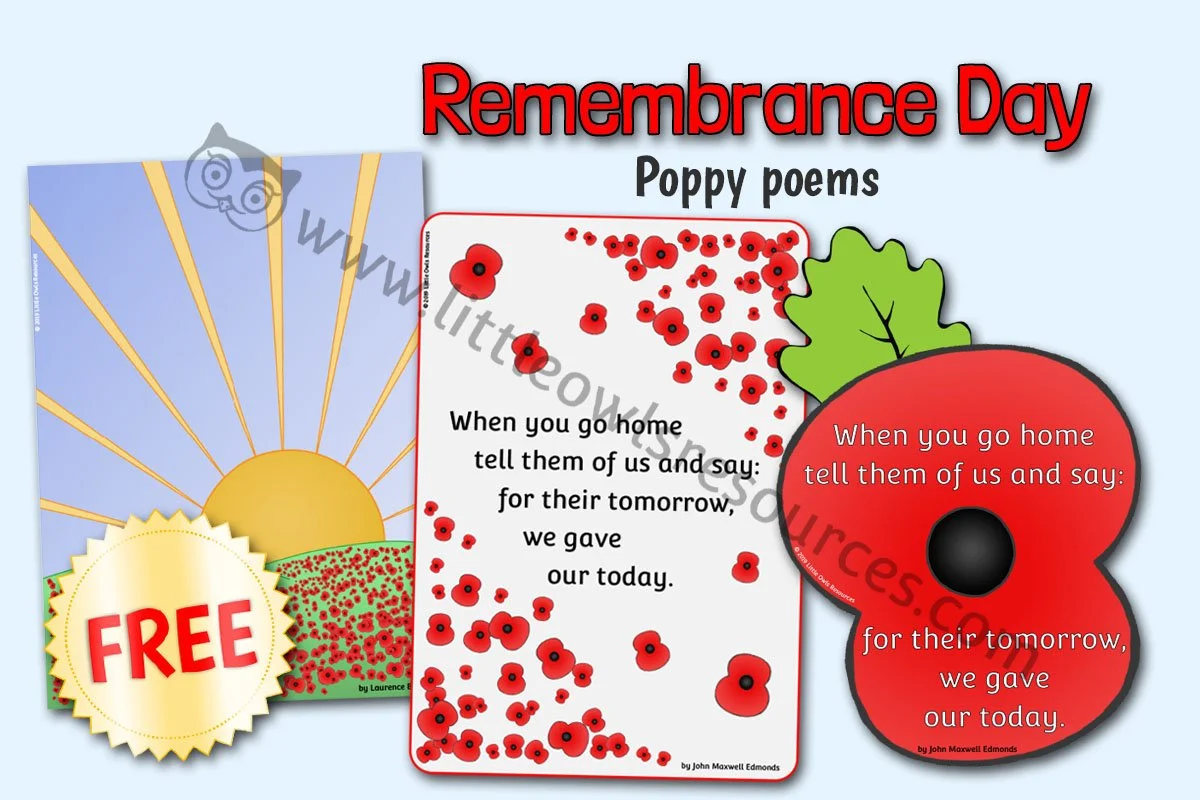 FREE Remembrance Day Early Years EYFS Editable Printable Resources 