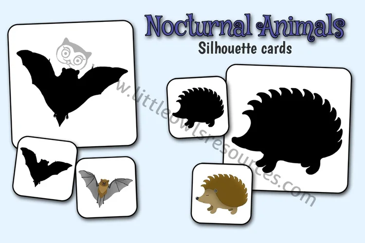 Nocturnal Animal Silhouette Cards — resource cover