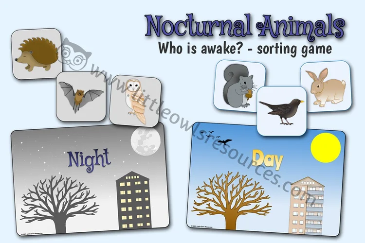 Nocturnal Animals — Who Is Awake? — resource cover