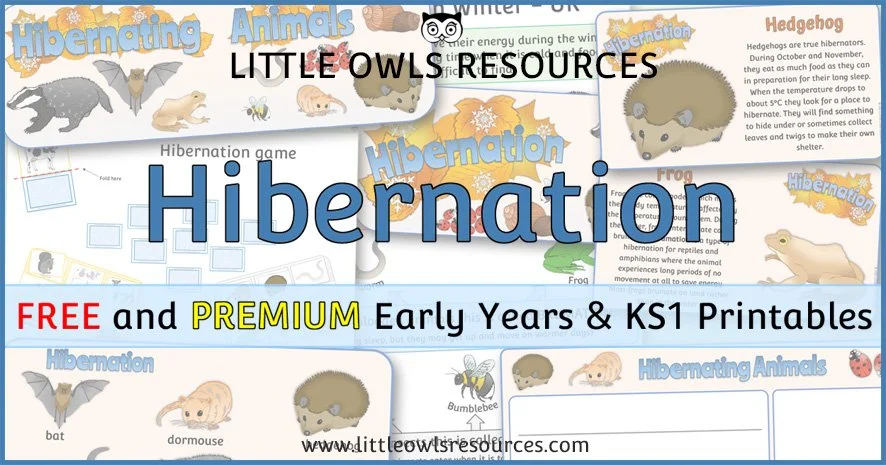 Topic: Hibernation | Curriculum Planning &amp; Provision