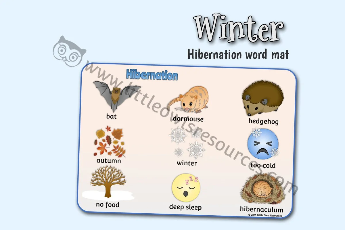 HIBERNATION - WORD MAT