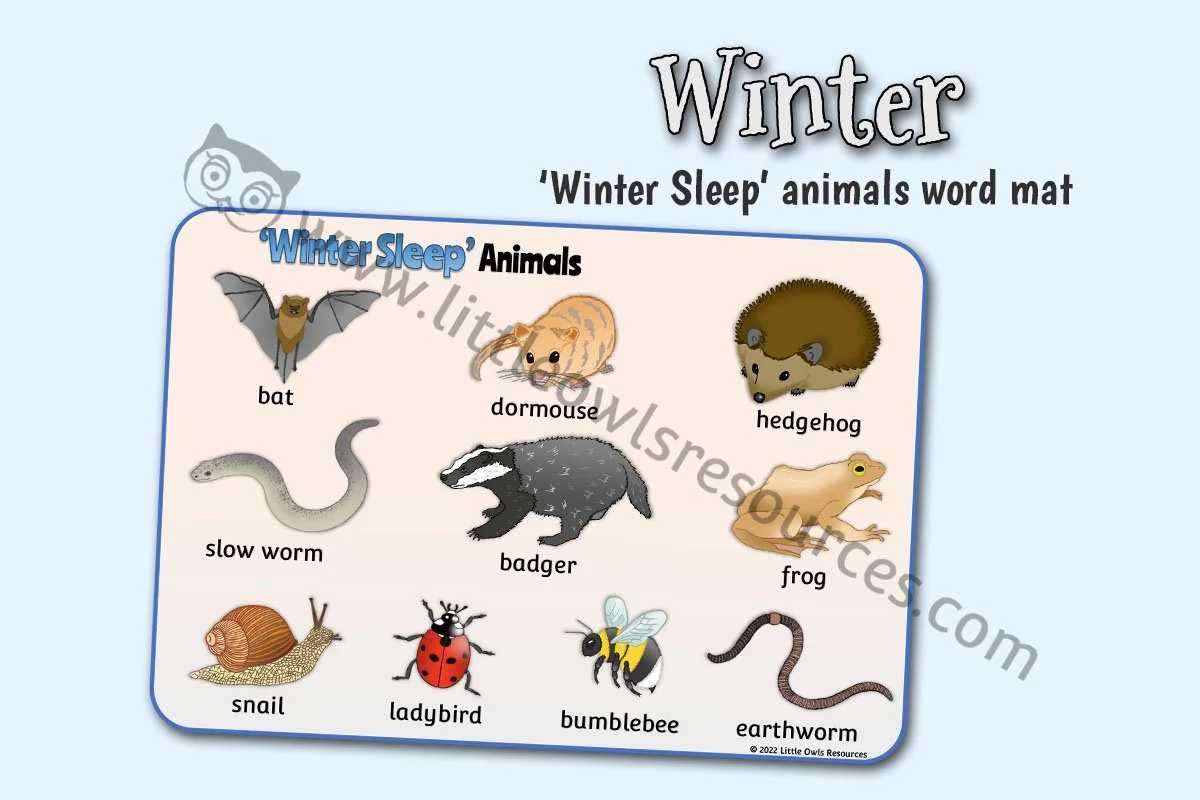 HIBERNATION - 'WINTER SLEEP' ANIMALS WORD MAT
