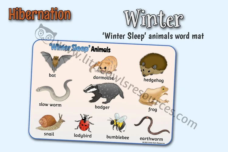 Winter Sleep Animals Word Mat — resource cover