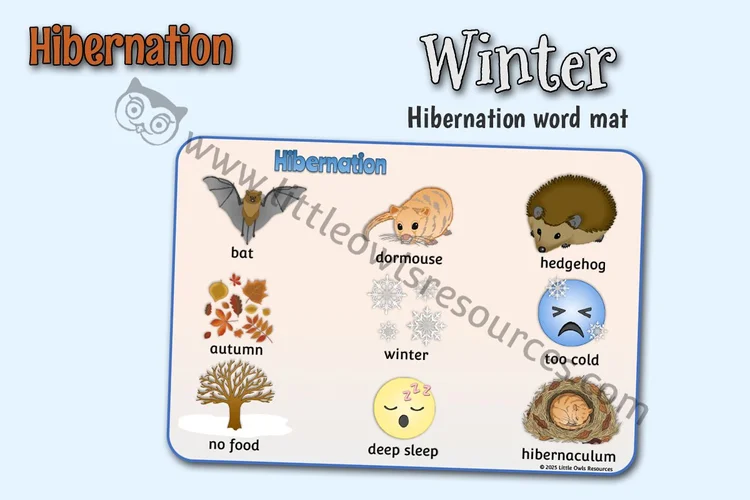 Hibernation Word Mat — resource cover