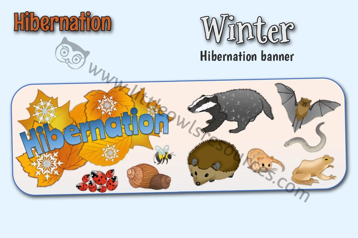 HIBERNATION - BANNER