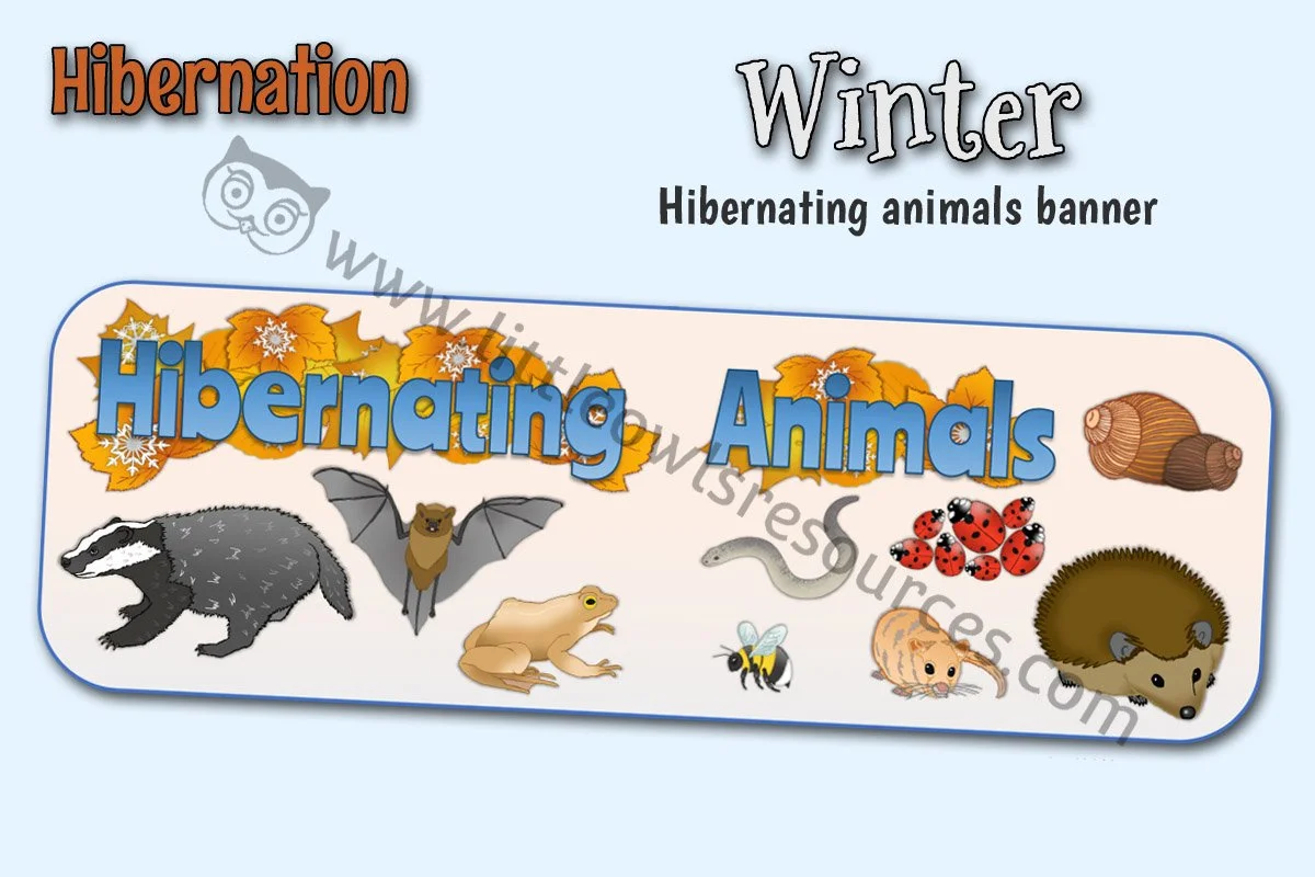 HIBERNATING ANIMALS - BANNER