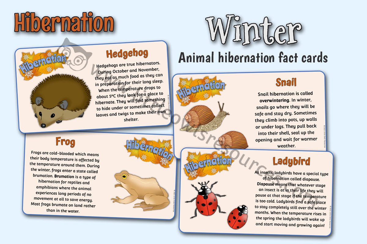 HIBERNATION FACT CARDS