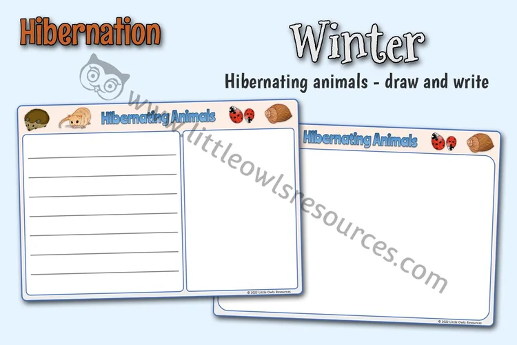 Hibernating Animals Draw and Write Sheets — resource cover