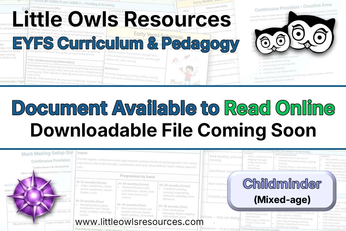 The EYFS Curriculum in Mixed-Age Care | Childminder Guidance