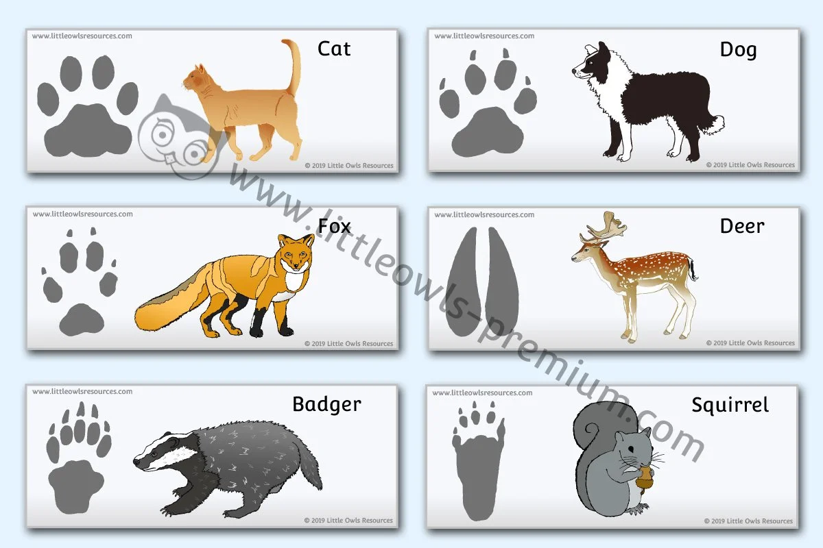 Hibernation Animal Masks LOR - Editable Cover.jpg