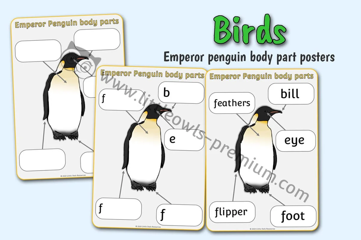 Cartoon Penguin Fish Counting Puzzle - Editable Cover.jpg