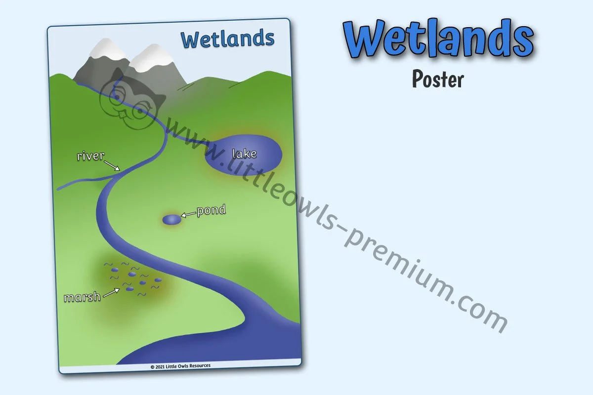 Wetlands types poster - Editable Cover.jpg