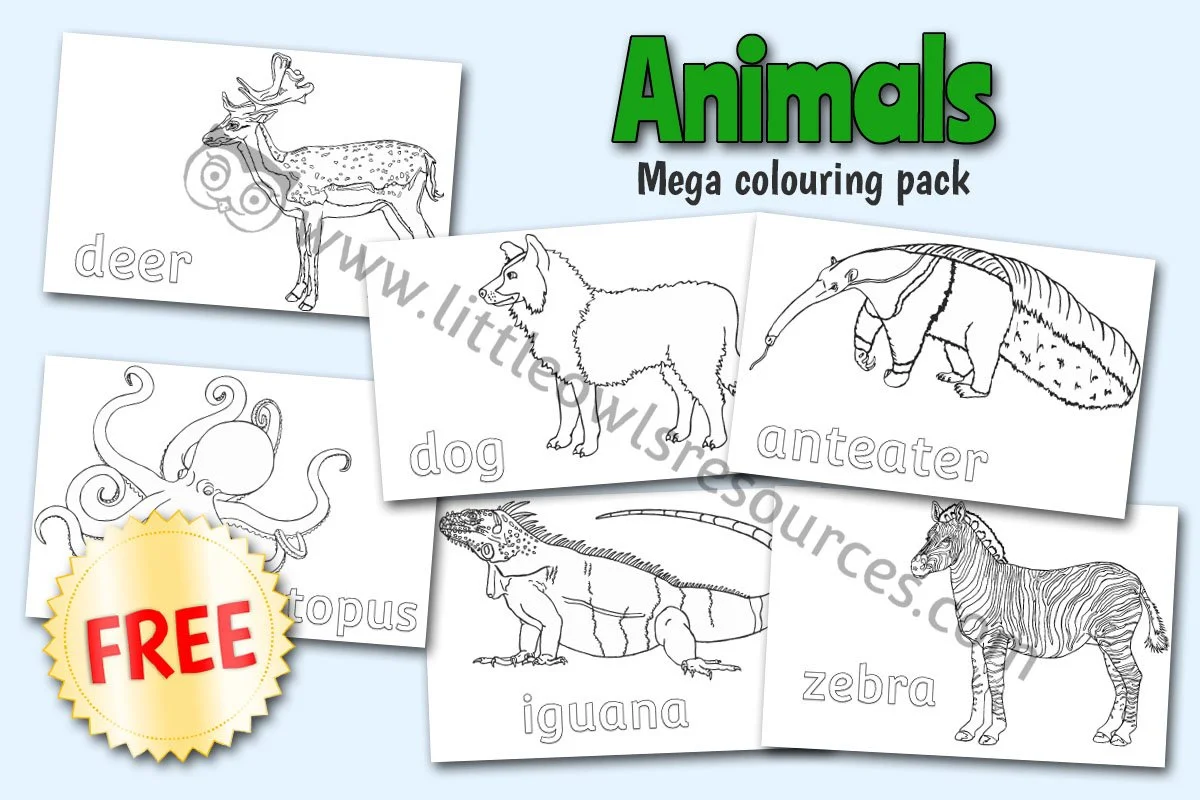 Animal Mega Colouring Pack LOR - FREE Cover.jpg