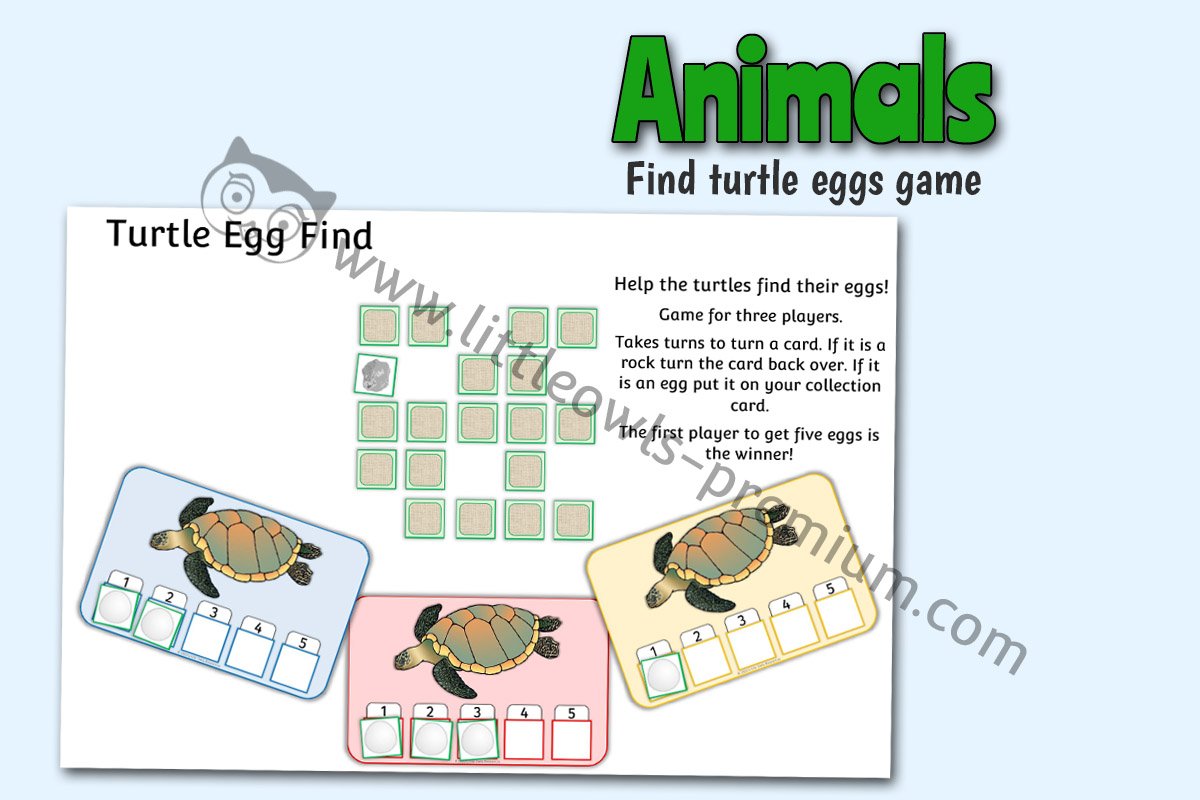 Turtle Egg Find - Editable Cover.jpg